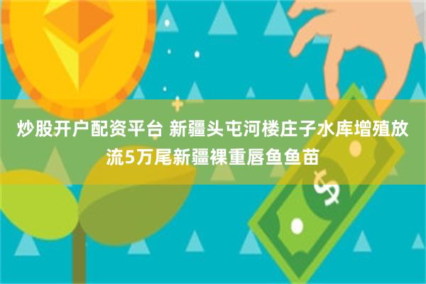 炒股开户配资平台 新疆头屯河楼庄子水库增殖放流5万尾新疆裸重唇鱼鱼苗