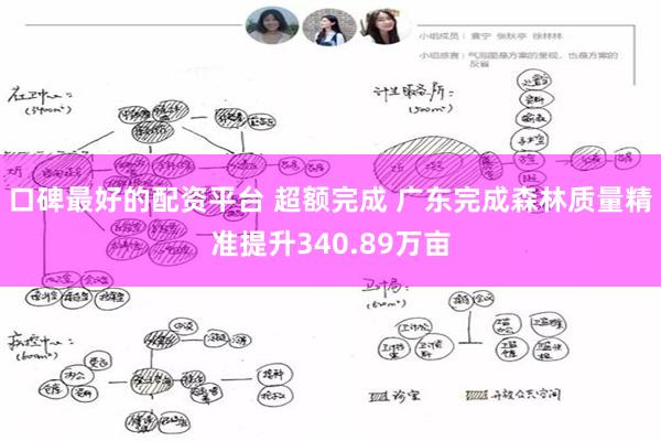 口碑最好的配资平台 超额完成 广东完成森林质量精准提升340.89万亩