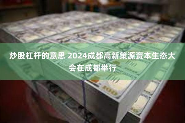 炒股杠杆的意思 2024成都高新策源资本生态大会在成都举行