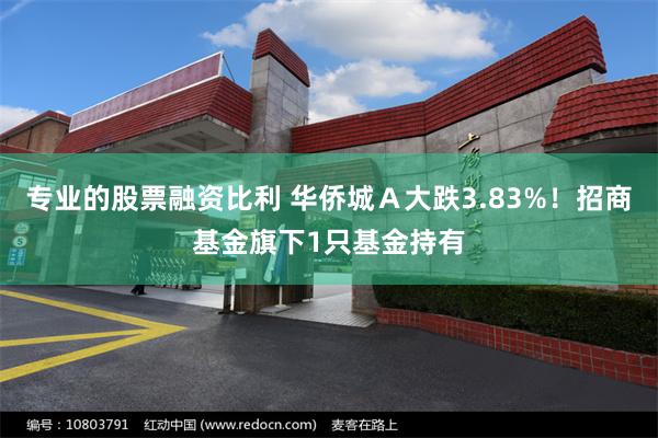 专业的股票融资比利 华侨城Ａ大跌3.83%！招商基金旗下1只基金持有