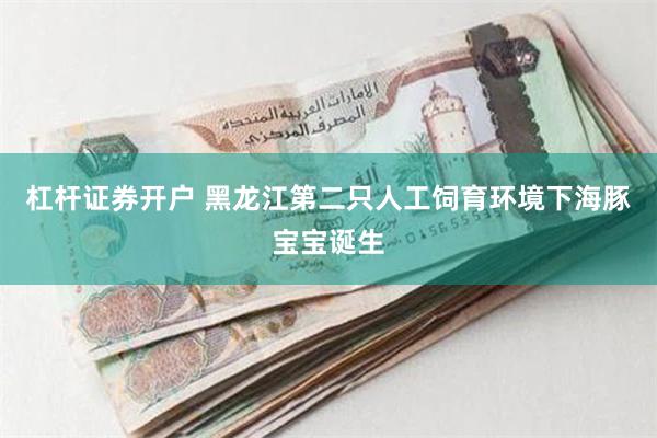 杠杆证券开户 黑龙江第二只人工饲育环境下海豚宝宝诞生