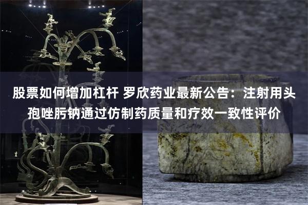 股票如何增加杠杆 罗欣药业最新公告：注射用头孢唑肟钠通过仿制药质量和疗效一致性评价