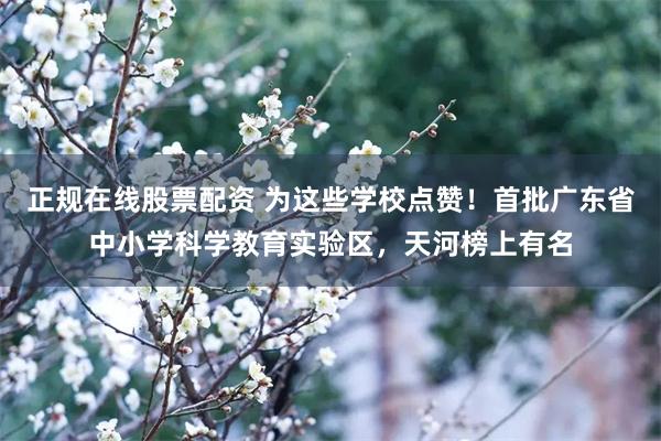 正规在线股票配资 为这些学校点赞！首批广东省中小学科学教育实验区，天河榜上有名