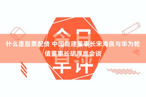 什么是股票配债 中国能建董事长宋海良与华为轮值董事长胡厚崑会谈